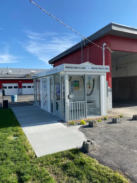 Pampered Paws Pet Wash - Logan