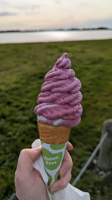 Anshu's Real Fruit Ice Cream