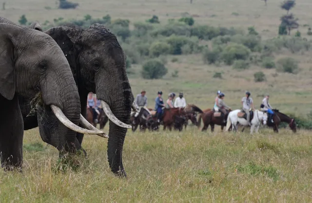 Safaris Unlimited (Africa) Ltd