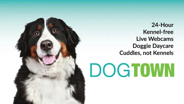 Dogtown Huber Heights