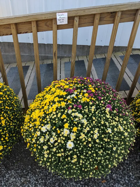 Borntrager's Farm Fresh Produce