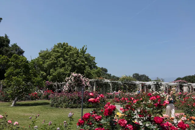 The Huntington Lily Ponds