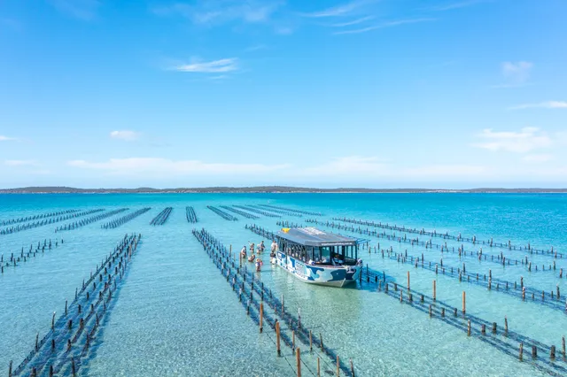 Experience Coffin Bay Oyster Farm Tours