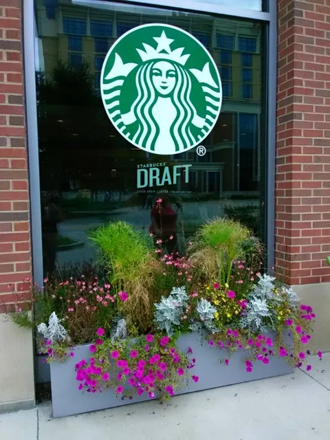 스타벅스