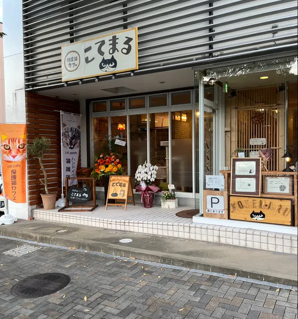 保護猫カフェとハンドメイド猫雑貨 こてまる