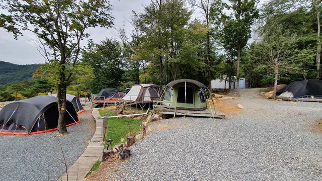 Gaya Land Moonlight campsites