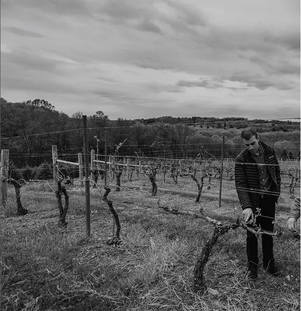 Homestead Farm of Jones Family Farms