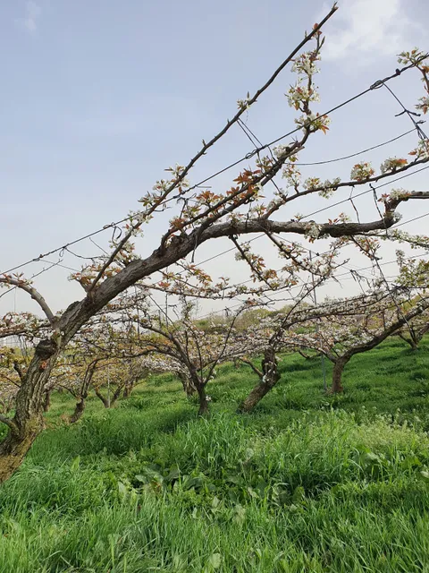 Benedictine Monastery of St. Joseph
