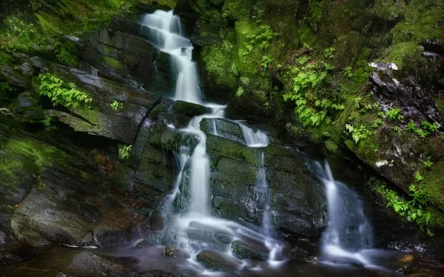 Saint-Herménégilde