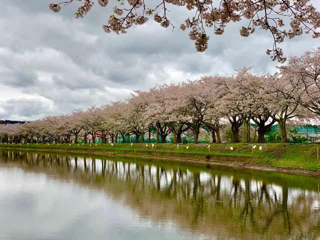 Takanosu Central Park