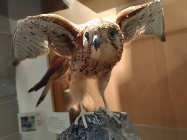 Naturalistic Museum Sasso Simone e Simoncello