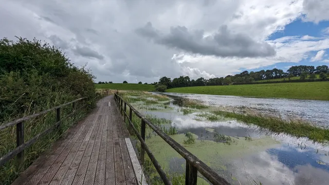 Ballybay Wetlands