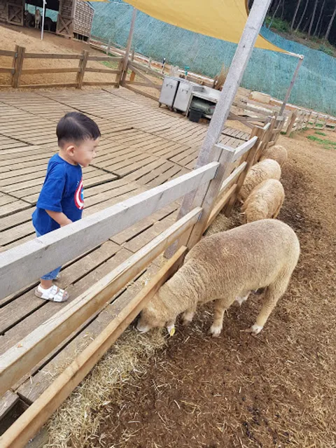 교촌치킨 상동점