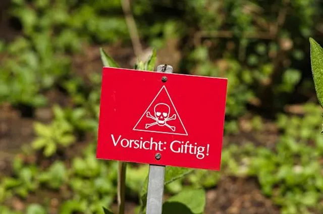 Rezerwat przyrody Szczytniak