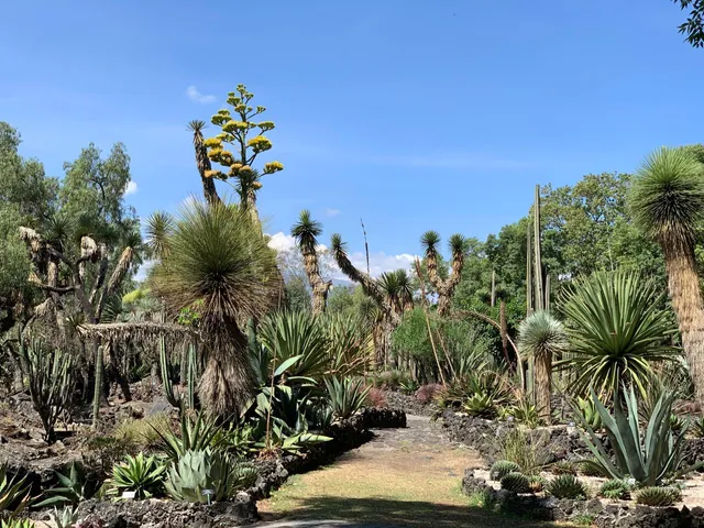 Botanical Garden Universitario- BUAP