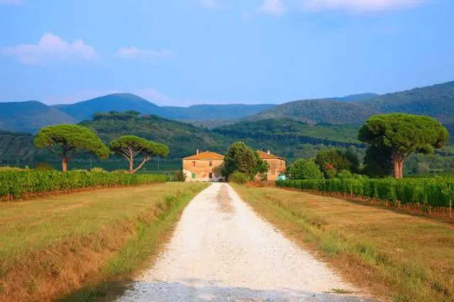 The Nature Park On olva