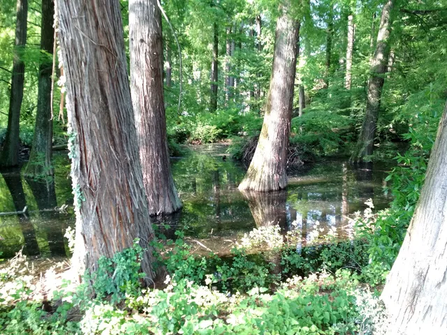 Parco protetto dei Tassodi