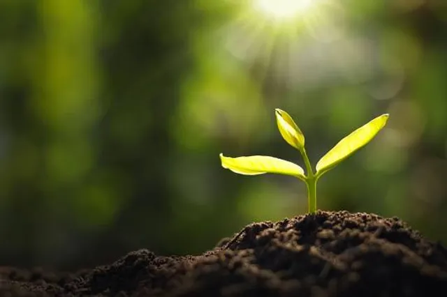 Wisata Alam Cireong Park