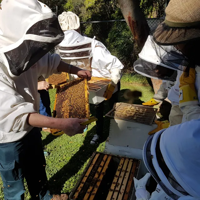 Illawarra Beekeepers Association Inc.