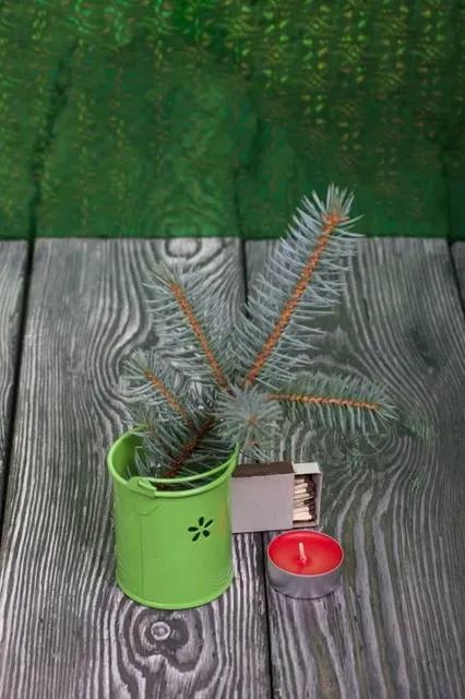 Aqua Jungle Water Park & Resort