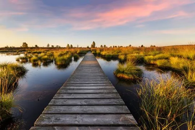 Vallei Van De Drie Beken