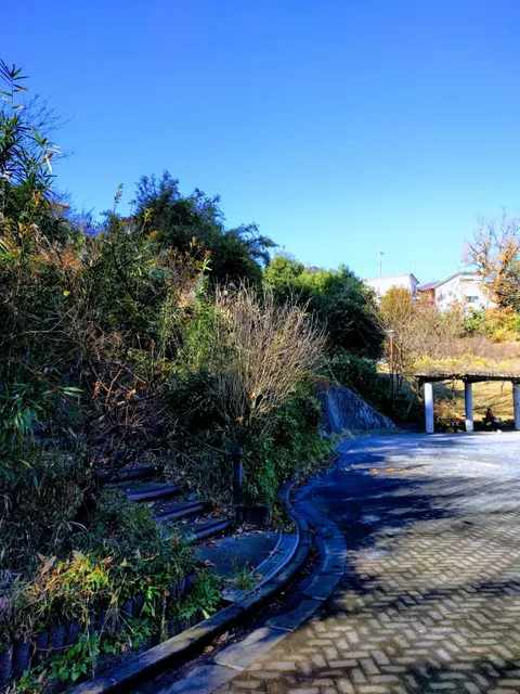 Mampukuji Satoyama Park