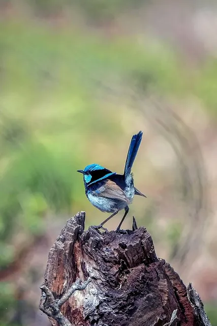 Rezerwat Przyrody Segiet