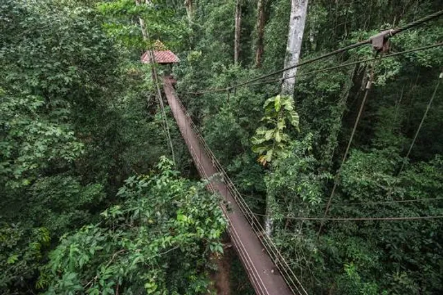 Thung Khai Botanic Garden (also signed Peninsula Botanic Garden)