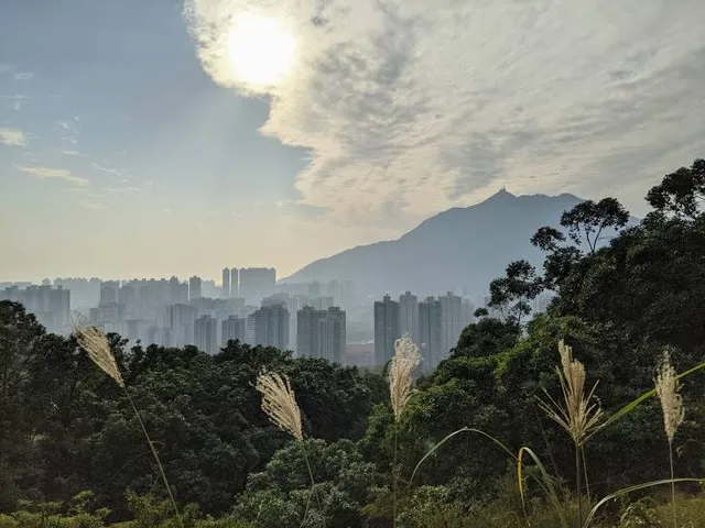 Tuen Mun Trail