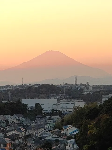 Shimonagaya Citizen's Forest
