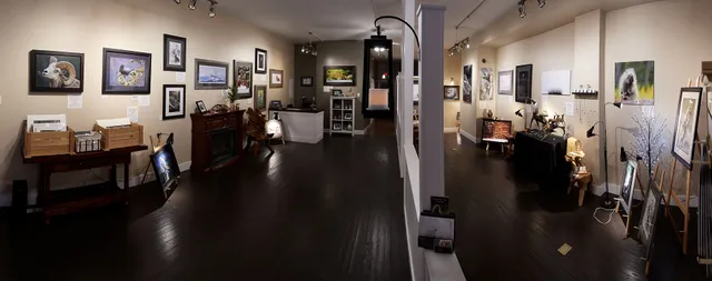 Launstein Imagery Wildlife Art Gallery