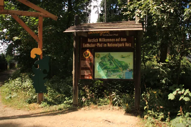 Löwenzahn-Entdeckerpfad