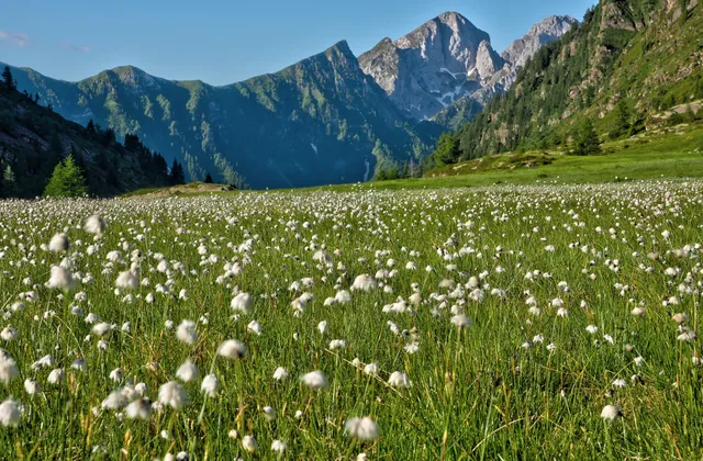 Laghetti delle Valli