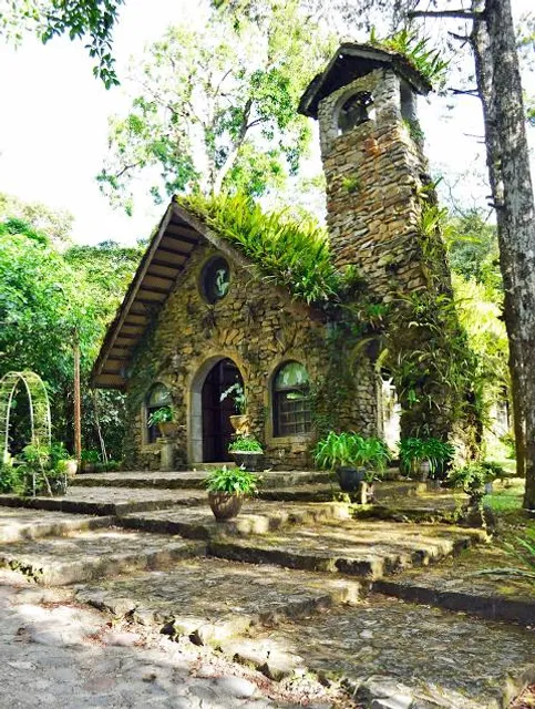 Selva Negra Ecolodge