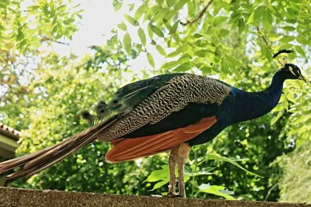 Abbey of Santa Maria in Sylvis