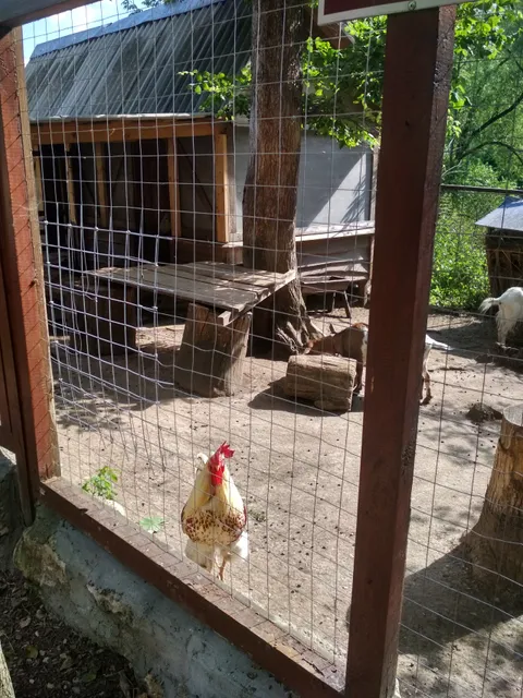 Zoopark V Belousovskom Parke