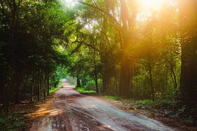 Dunumadalawa Forest Reserve