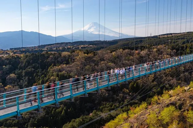 Mishima Sky Walk