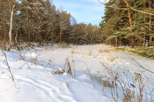 Phyllis Rawlinson Park