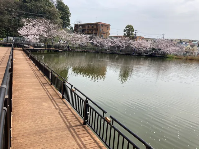 Futatsuike Wetland Park