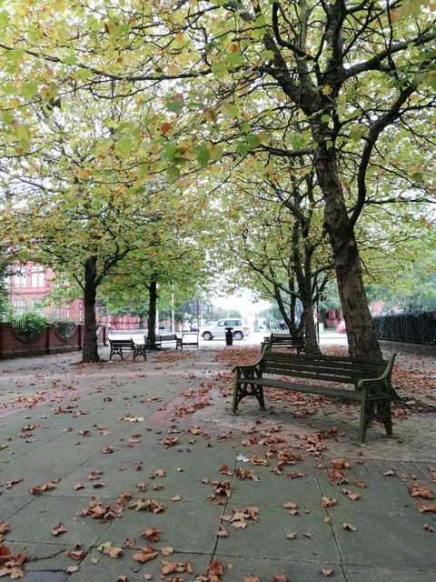 photo-2