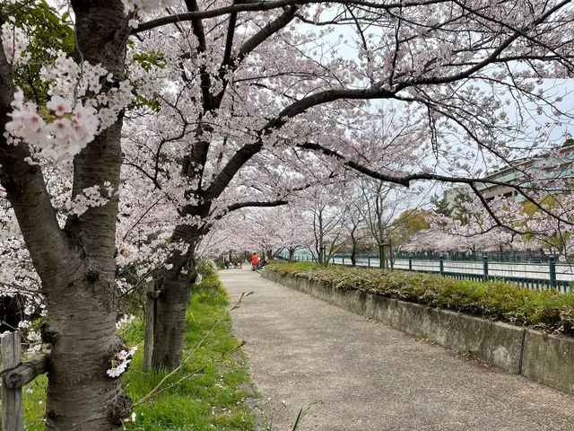 Yomogawa Ryokuchi Park