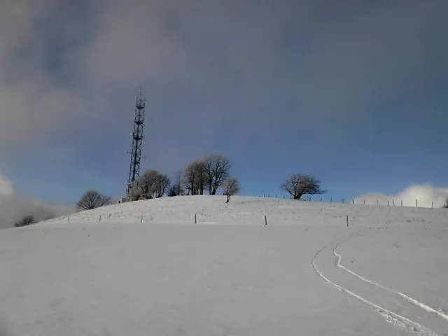 place image