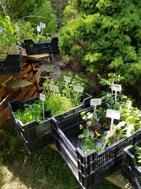 Kräuter-Heidi "Die Kräuterwerkstatt"