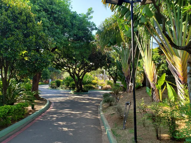 Municipal park Eng Salvador Arena