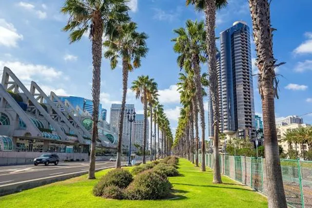 The New Children’s Museum