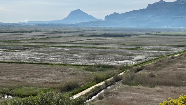 Mirador de la Muntanyeta Verda