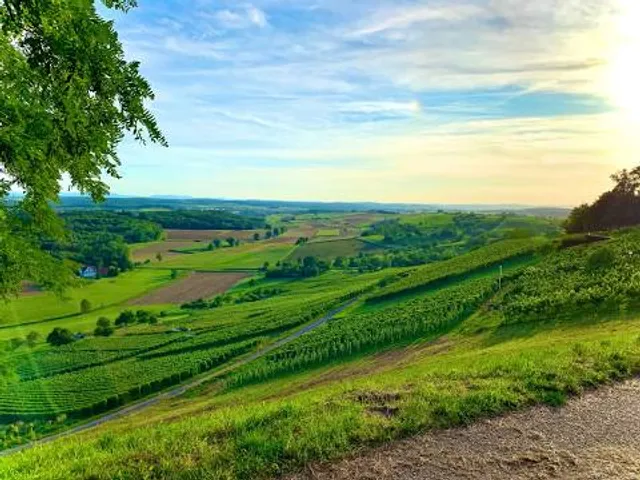 Derdinger Horn, Weinplateau