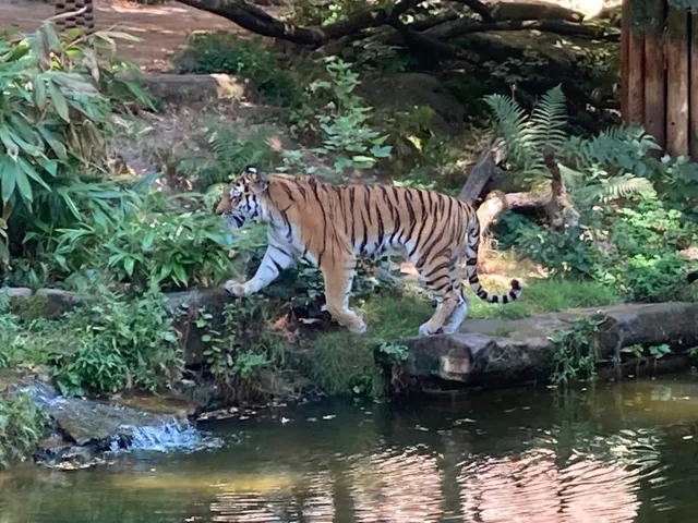 Tapirhaus (Tiergarten)