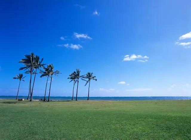 Waiāhole Beach Park